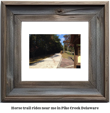 horse trail rides near me in Pike Creek, Delaware